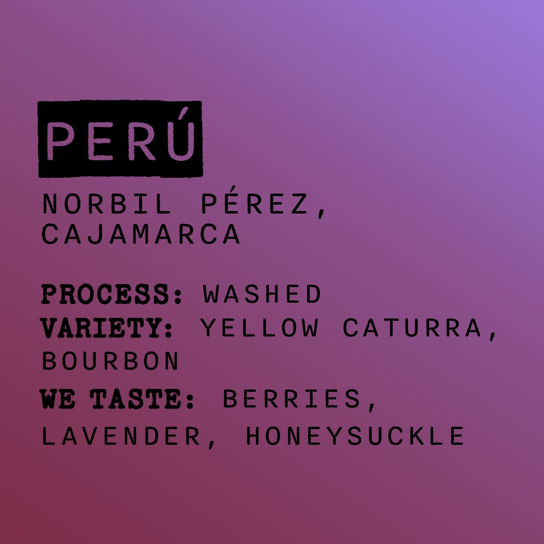 Photo of Perú - Norbil Pérez Washed
