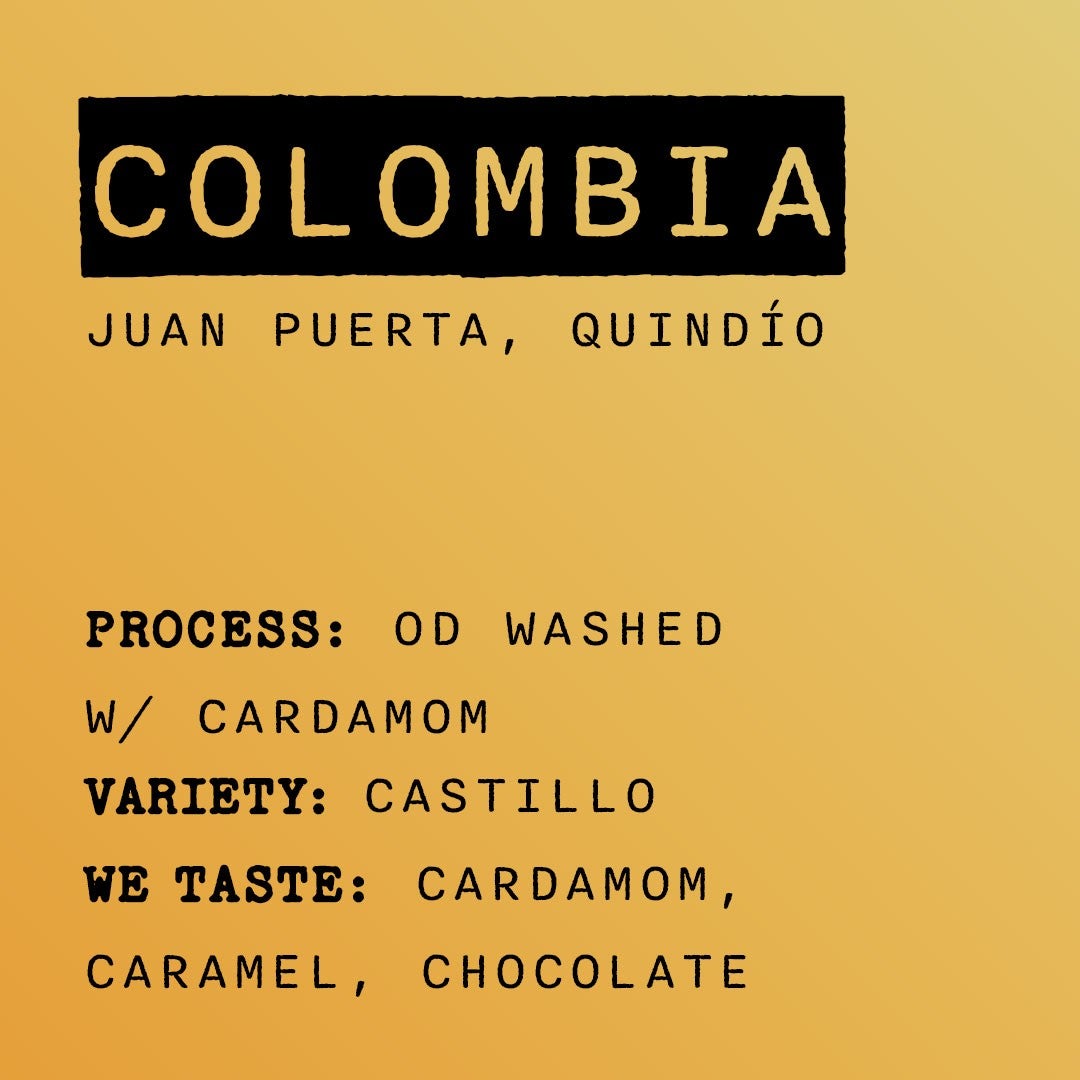Photo of Colombia - Juan Puerta Cardamom Washed Castillo | Obscure Coffee Roasters