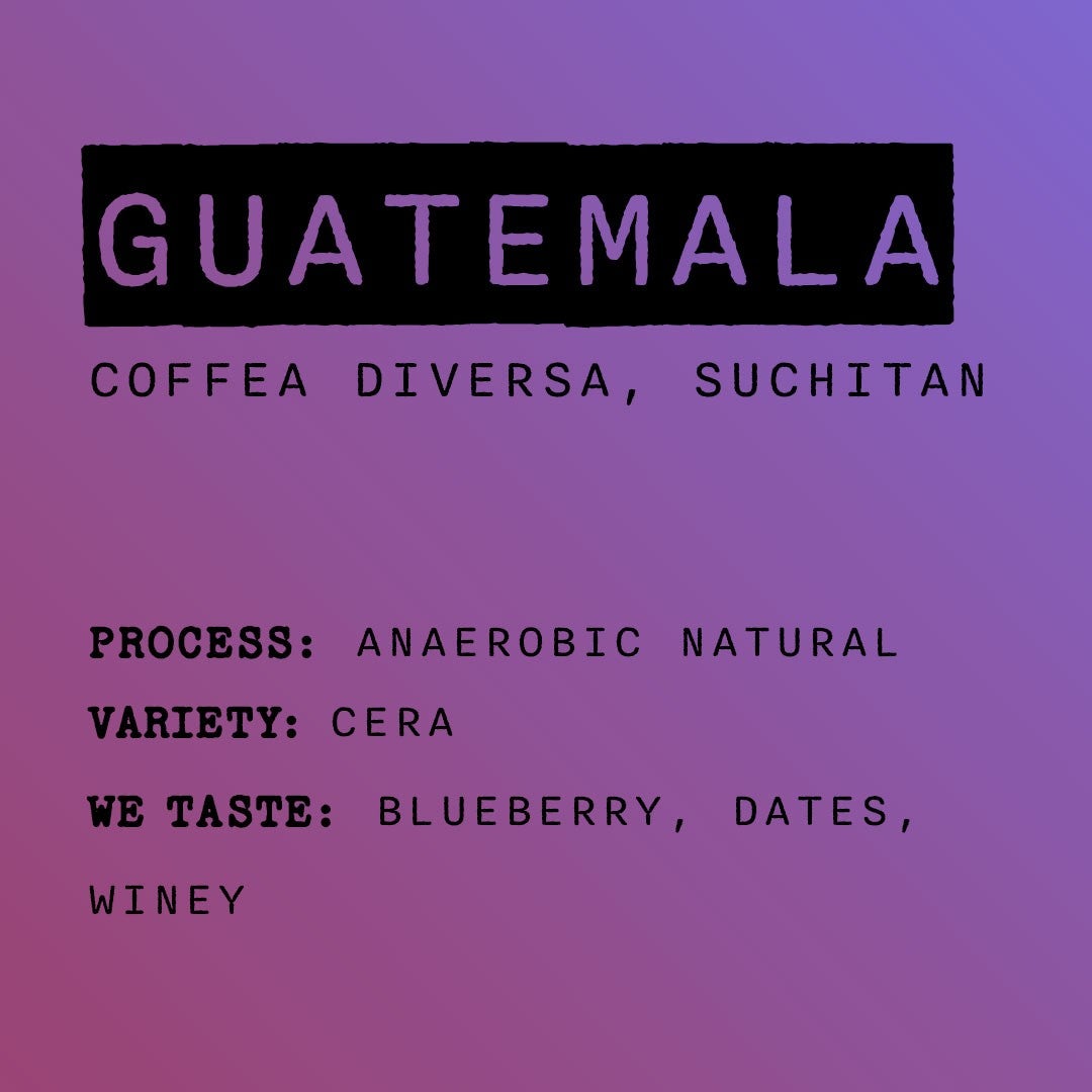 Photo of Guatemala - Coffeea Diversa Anaerobic Natural Cera | Obscure Coffee Roasters
